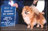 flirtchampfla.jpg (12526 bytes)