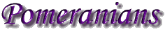 pomeraniantitle.GIF (6153 bytes)
