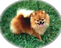 Trudya.gif (24187 bytes)