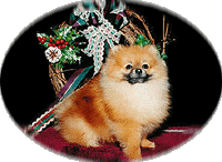 echoovala.gif (17210 bytes)