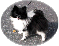 justina.gif (22417 bytes)