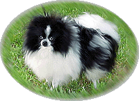 snackpac1a.jpg (18601 bytes)