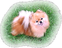 Trudy7-03a.gif (24599 bytes)