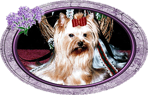 mischiefframeda.GIF (43748 bytes)