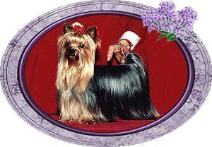 prestyframea.GIF (45048 bytes)