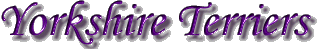 yorkshiretitle.GIF (8499 bytes)