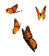 4butterflys.gif (5058 bytes)