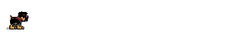 aniyorkie.gif (6507 bytes)