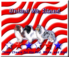 Three Cheers for the Red, White, and Blue