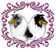 Heads and Hearts