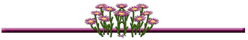 Pink Daisy divider Bar