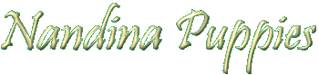 puppyroomtitle.gif (6346 bytes)