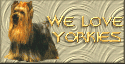 We Love Yorkies Webring - Click To Join